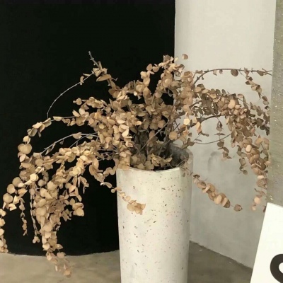 兽设创意设计灵感福瑞交流群